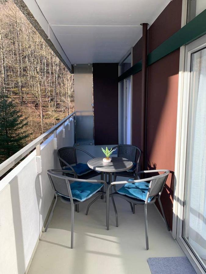 Mariposa 3 incl Pool&Sauna Bad Harzburg Exterior foto