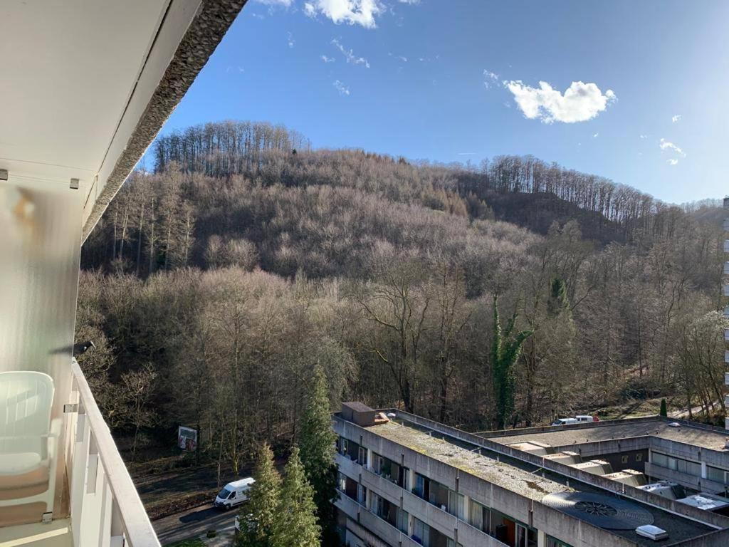 Mariposa 3 incl Pool&Sauna Bad Harzburg Exterior foto